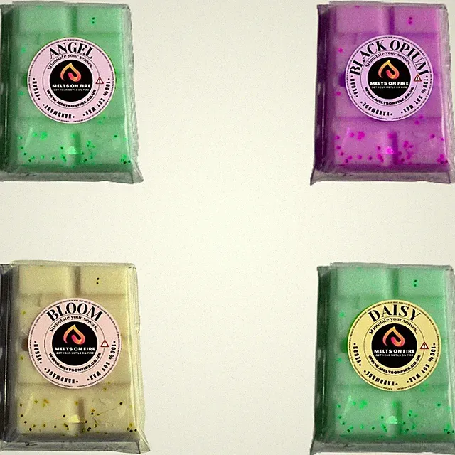 4 x Wax Melts Handmade Riegel stark duftend 25g Designer Düfte Vegan