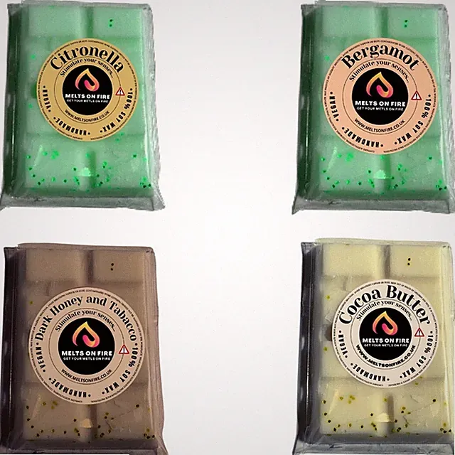 4 x Wax Melts Handmade Riegel stark duftend 25g holzige Düfte vegan