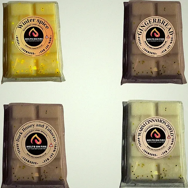 4 x Wax Melts Handmade Riegel stark duftend 25g würzige Düfte vegan