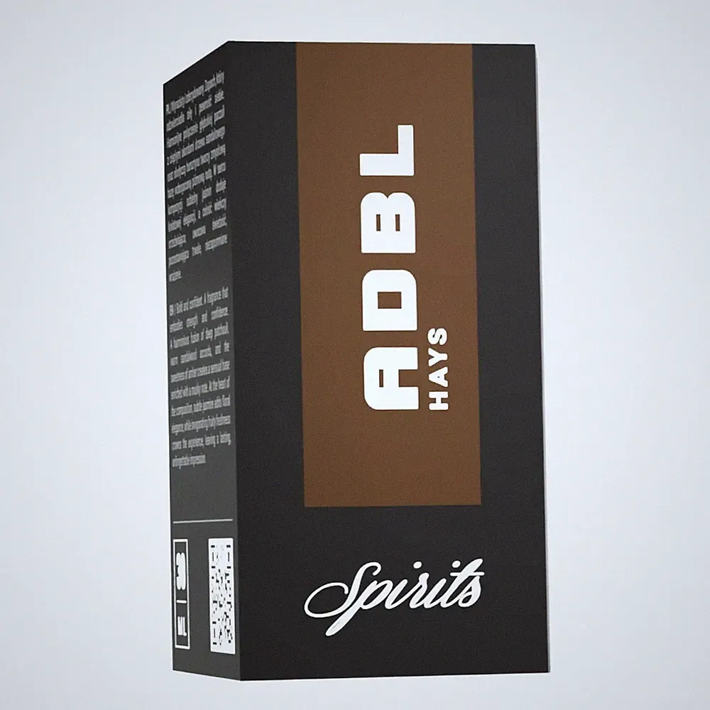 Spirit Raumduft