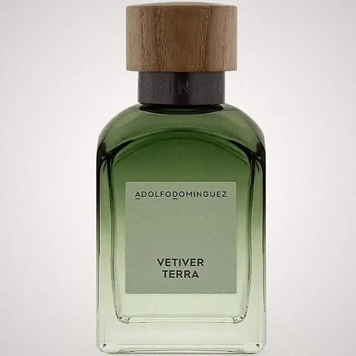 Adolfo Dominguez Vetiver Terra Eau de Parfum Herrenparfum 120 ml Duft NEU OVP