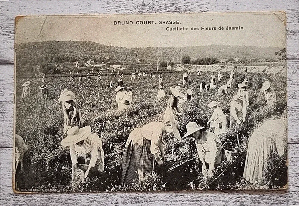 frankreich postkarte