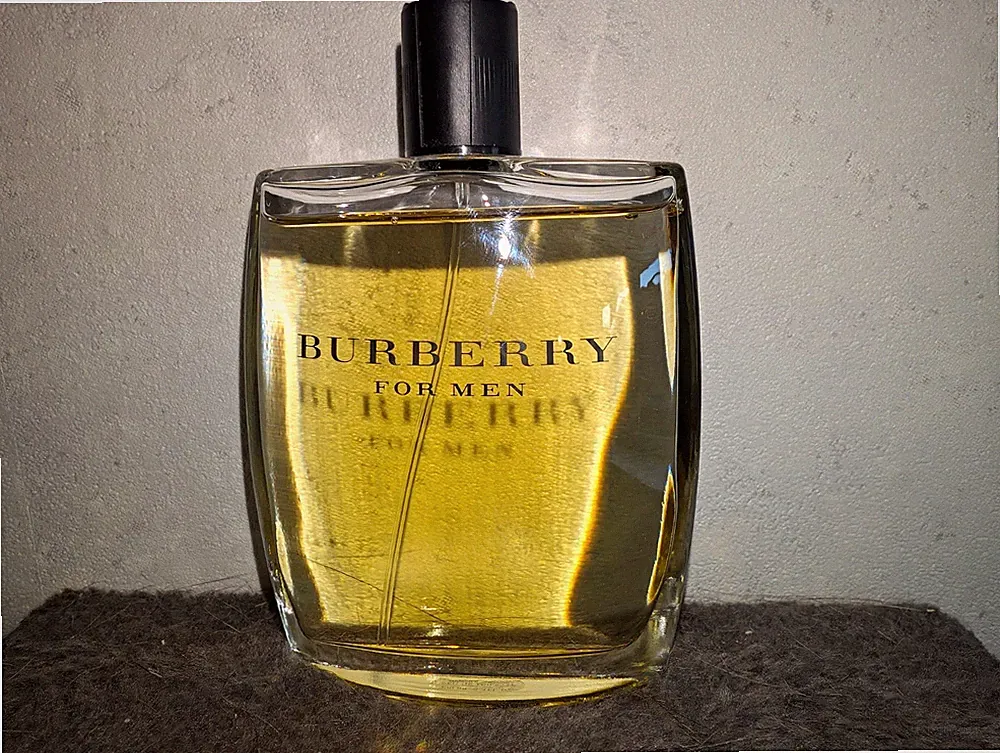 Burberry Burberry for Men Eau de Parfum Herren 100 ml Spray Flakon