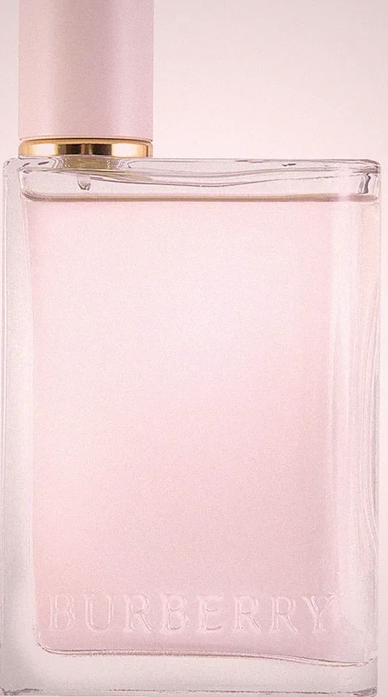 Burberry Her Eau de Parfum 100 ml OVP NEU