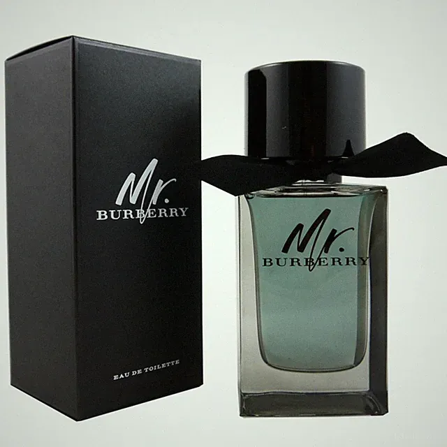 Burberry Mr. Burberry 100 ml Eau de Toilette EDT Herrenduft
