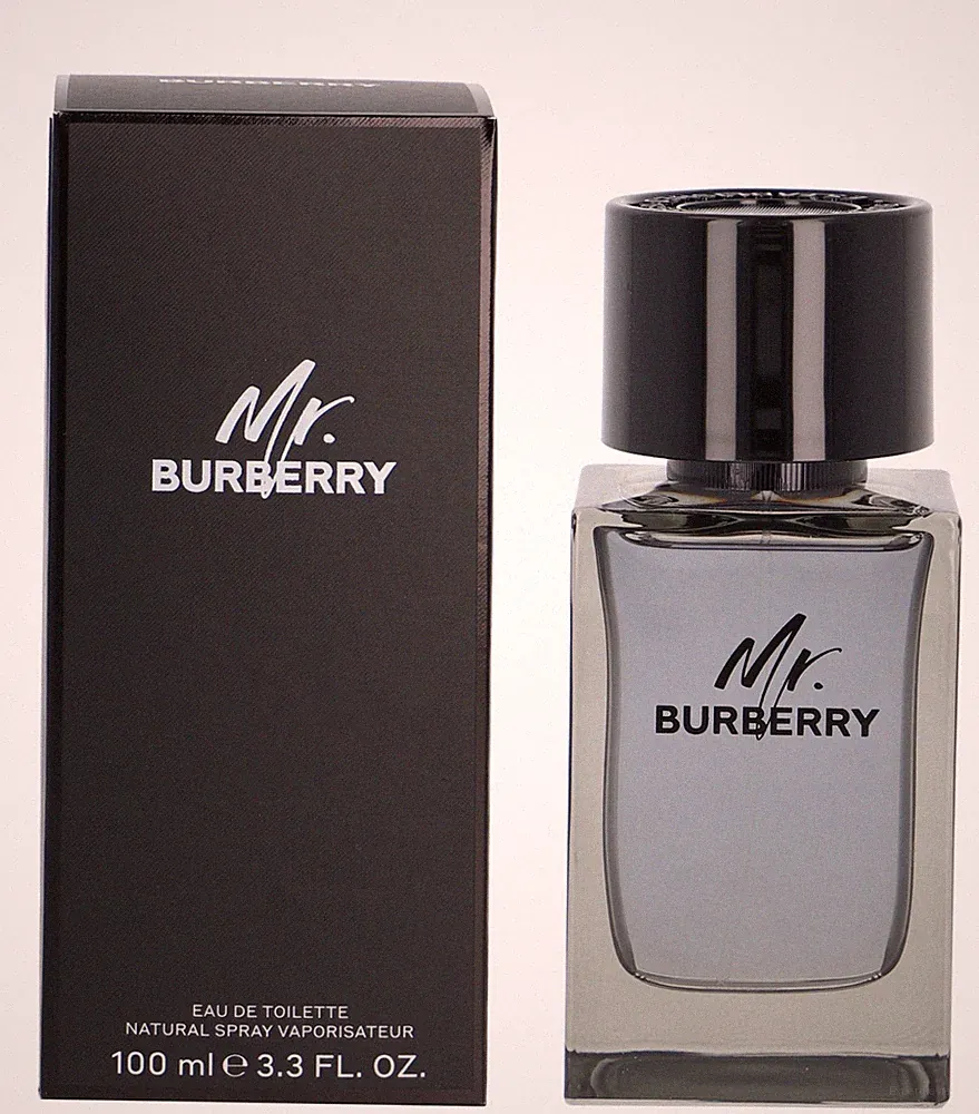 BURBERRY Mr. Burberry Eau de Toilette Spray 100 ml
