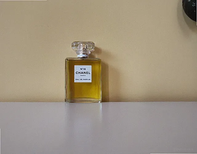 Chanel No. 19 EDP 100 ml