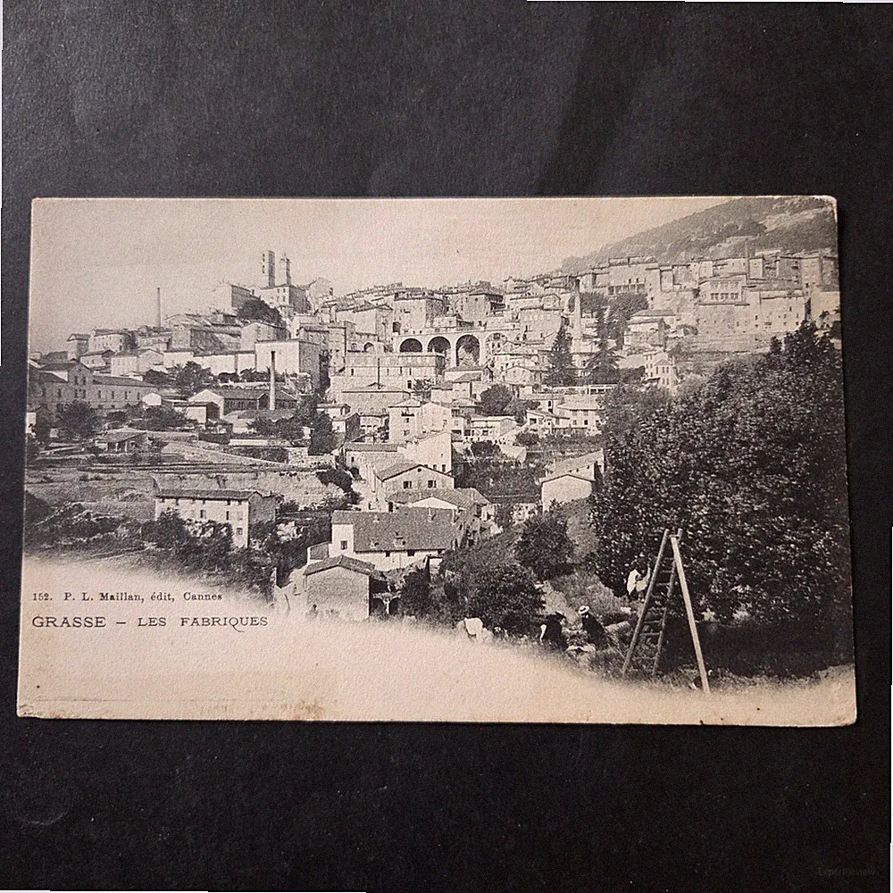 CPA 06 GRASSE Les Fabriques De Parfum Antike Postkarte
