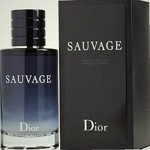 dior sauvage Herren Parfum Eau de Toilette Spray Luxus Frisch und Kühn