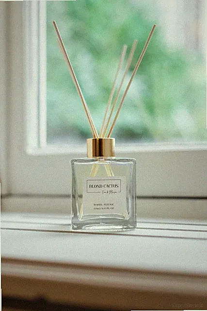 EDEN FRAGRANCES Interior Parfum Diffuser 250 ml - Blond Cactus