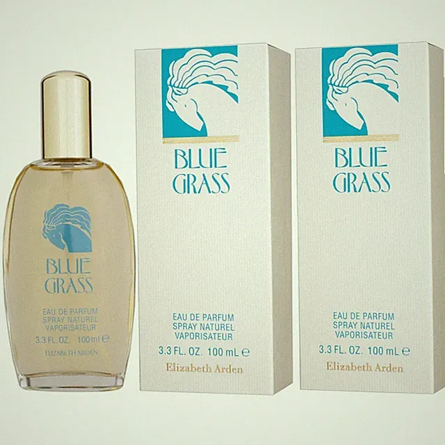 Elizabeth Arden Blue Grass Eau de Parfum 2 x 100 ml EDP Set Damenparfum