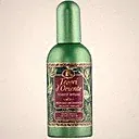 Forest Ritual EDT Parfüm 100ml - Tesori d'Oriente
