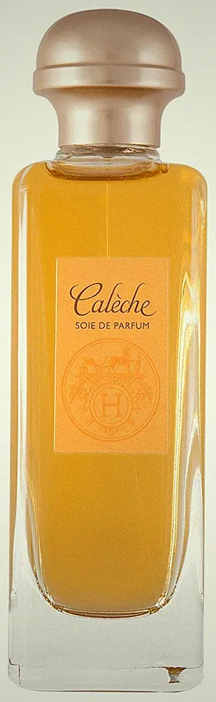 Hermès Caleche Soie de Parfum Eau de Parfum 100 ml OVP NEU