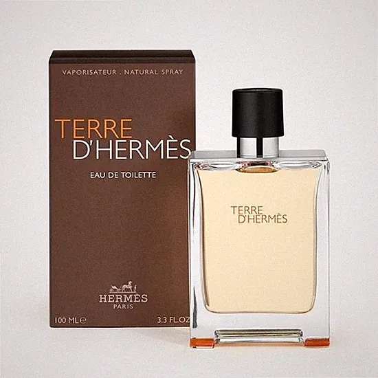 Hermès Terre d’Hermès Eau de Toilette EDT 100ml Herren Parfum Neu OVP Original