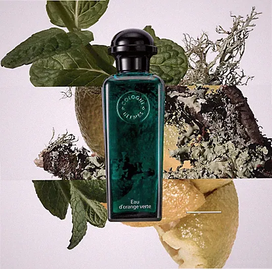 Hermes Eau de Basilic Damen Parfum Sommer würzig saftig