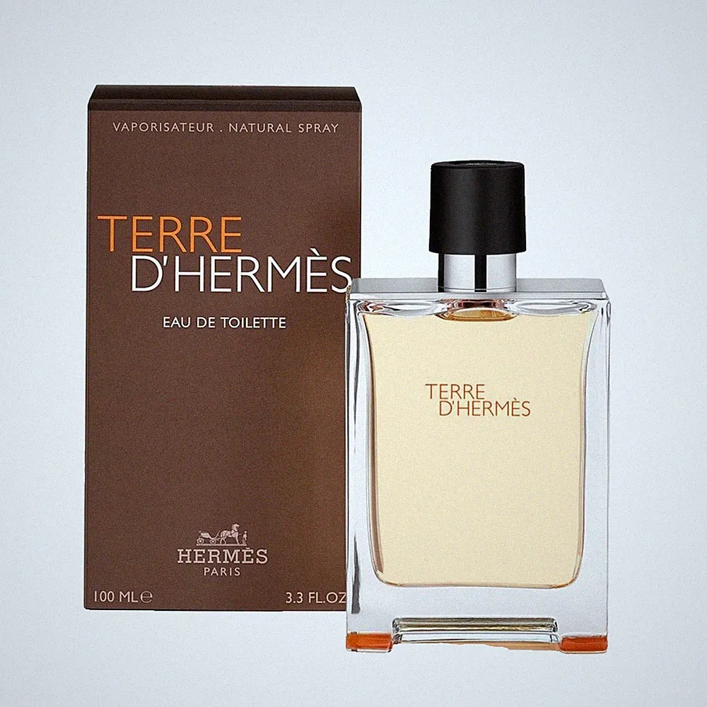 Hermes Terre d'Hermes Eau de Toilette 100ml Herren Parfum