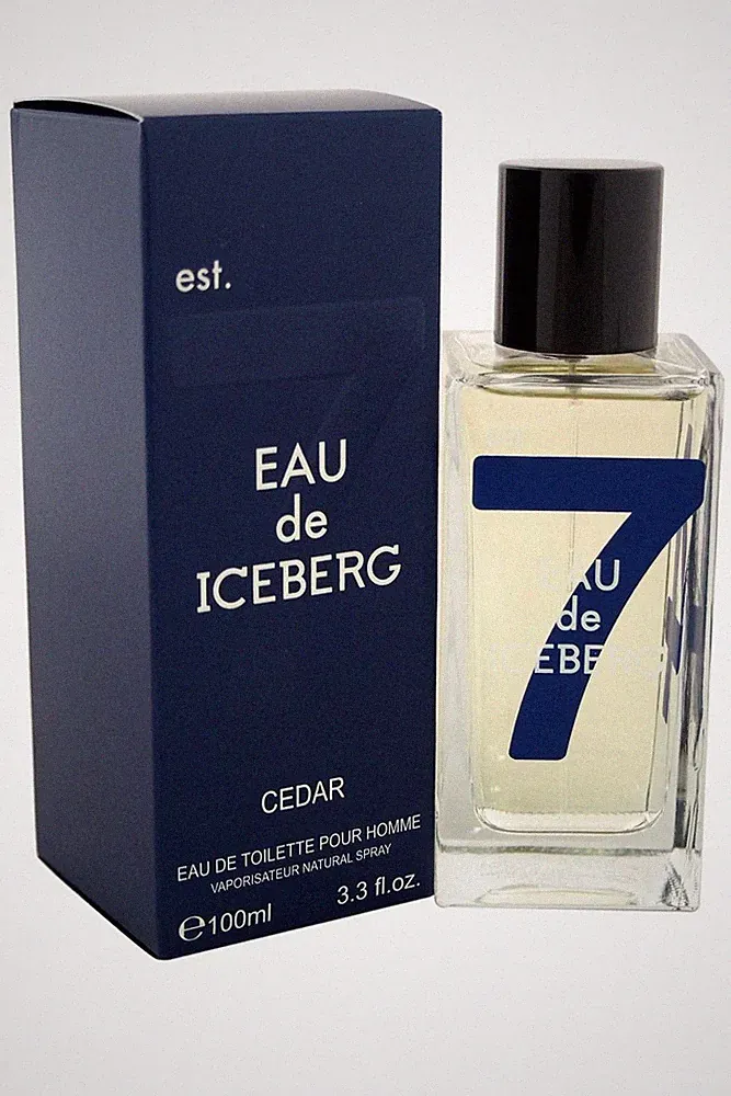 Iceberg Eau de Iceberg Cedar Eau de Toilette Spray 100 ml holziger Herrenduft