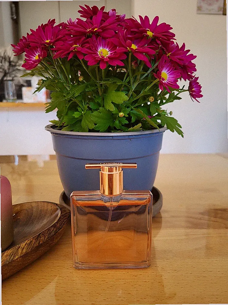 Lancome Idole Original Parfum 25ml kaum genutzt