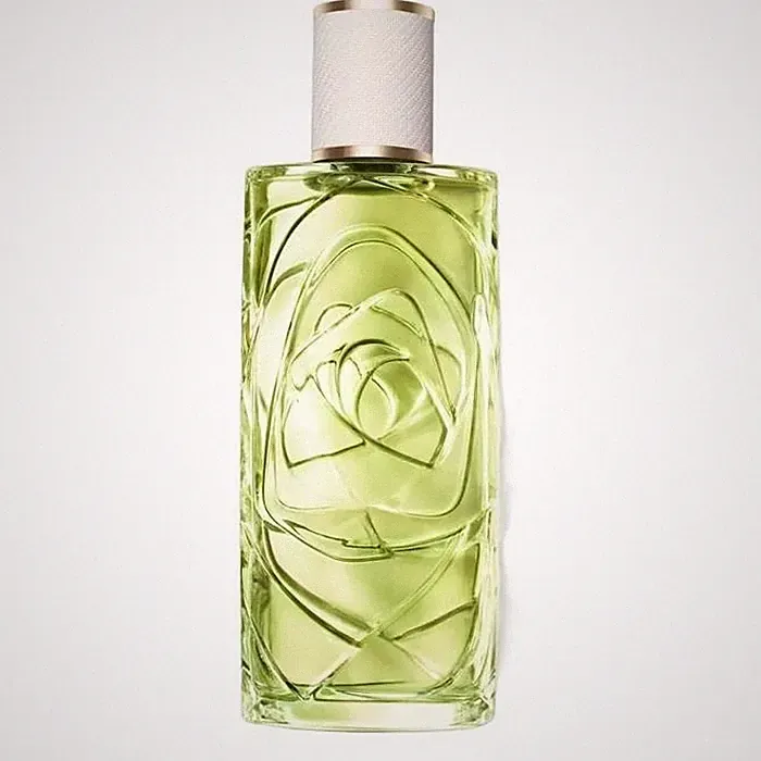 LANCOME Ô OFF NOW Eau de Toilette 100ml Unisex Zitrus Eisenkraut Sandale 2025