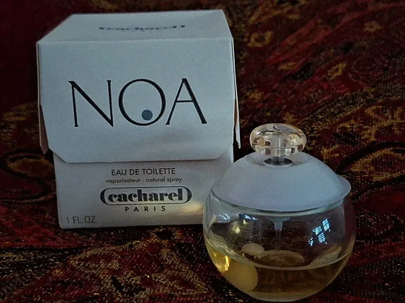Noa Cacharel EDT Vintage Parfüm für Sammler