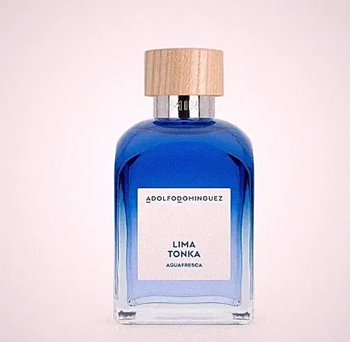Parfum Adolfo Dominguez Citrus Cedro 120ml Original Exklusivvertrieb