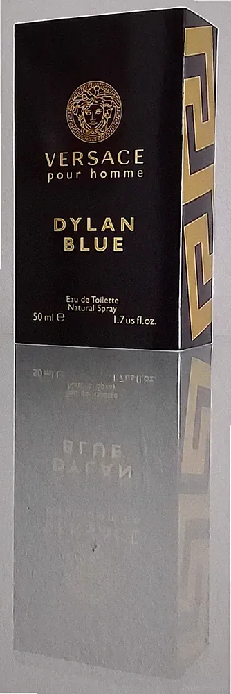 Parfum VERSACE pour homme Dylan Blue Eau de Toilette Natural Spray Parfüm 35 ml