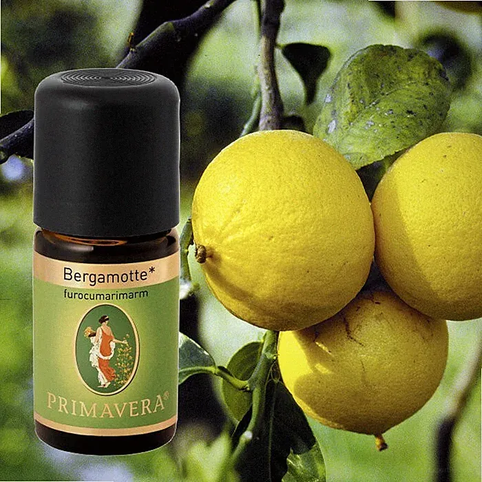 Primavera Bio Duftöle für Aromatherapie zu je 5ml