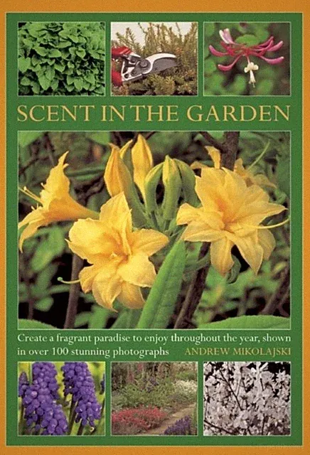 Scent in the Garden by Andrew Mikolajski (Hardback Book)