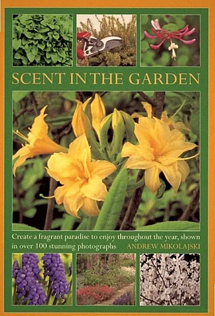Scent in the Garden by Andrew Mikolajski (Hardback Book)