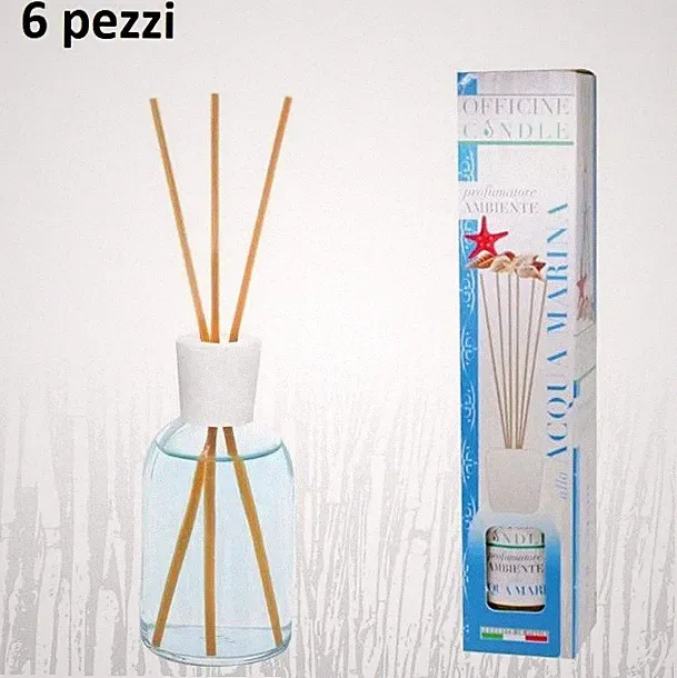 Set 6 Stück Duft Diffuser Aroma Raumduft Meerwasser 125ml dfh