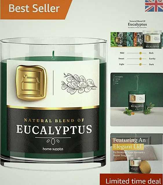 Signature Eukalyptus & Minze Kerze - 280g langanhaltender Duft Geschenk Auswahl