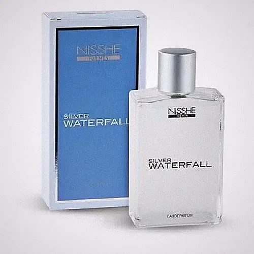 Silver Waterfall Nisshe Profumo Uomo Eau de Parfum für Herren 100ML Acqua di G.