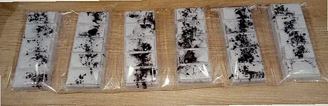 Snap Bar Wax Melts