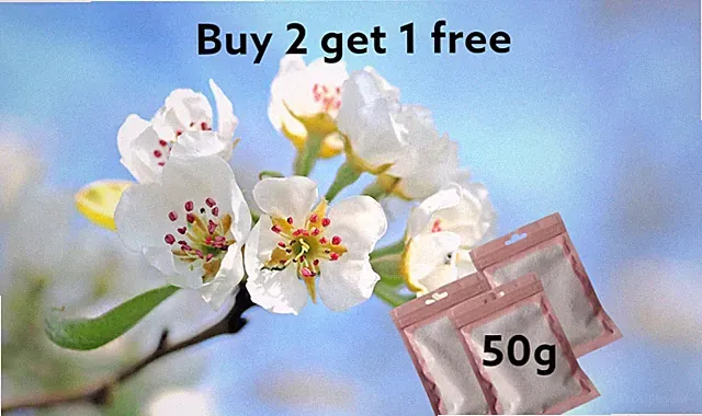 Snow Wax 50g stark duftendes Snow Wax Melts inspirierter Duft KAUFEN SIE 2 ERHALTEN SIE 1 GRATIS