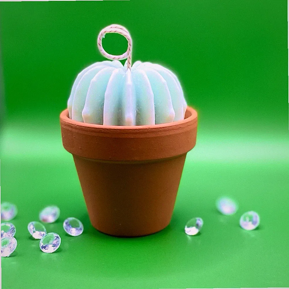 Aloe Vera Parfüms