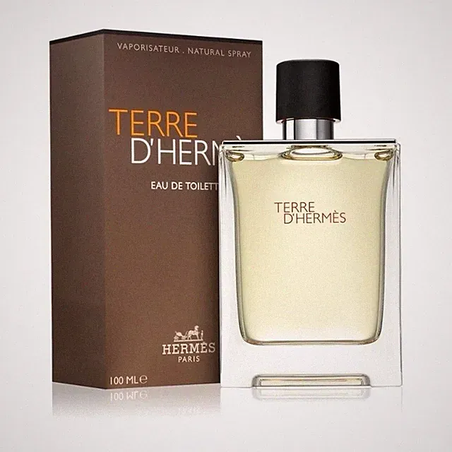 Terre D'Hermès Eau de Toilette 100ml Herren Natural Spray
