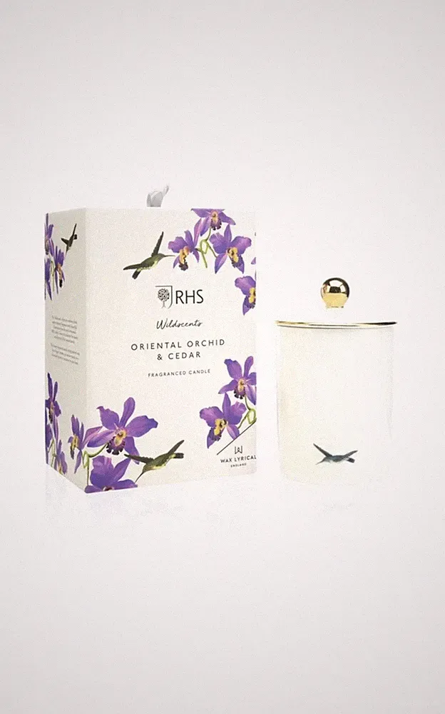 Wachs Lyrisch, RHS Wildscents Duft Keramik Kerze Orientalische Orchidee & Zeder za