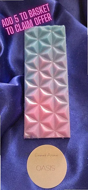Wax Melt Bath & Body L*SH BBW starker Duft 50g 4 kaufen 1 gratis erhalten