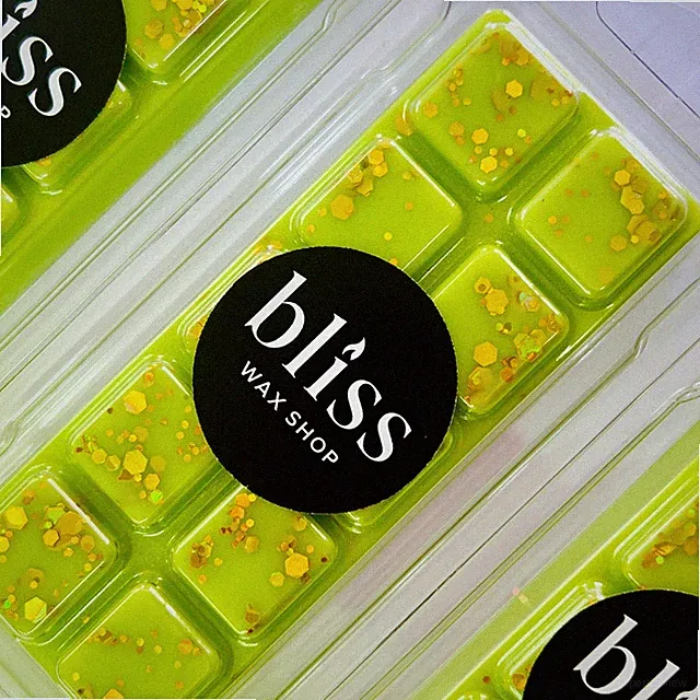 Wax Melt Snap Bar POSITIVE ENERGY stark duftend Geschenk Raumduft Muschel