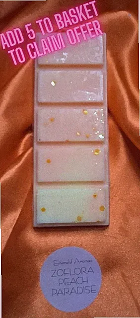 Wax Melts Large 50g Reinigung inspiriert starker Duft handgemacht 4 kaufen 1 gratis erhalten