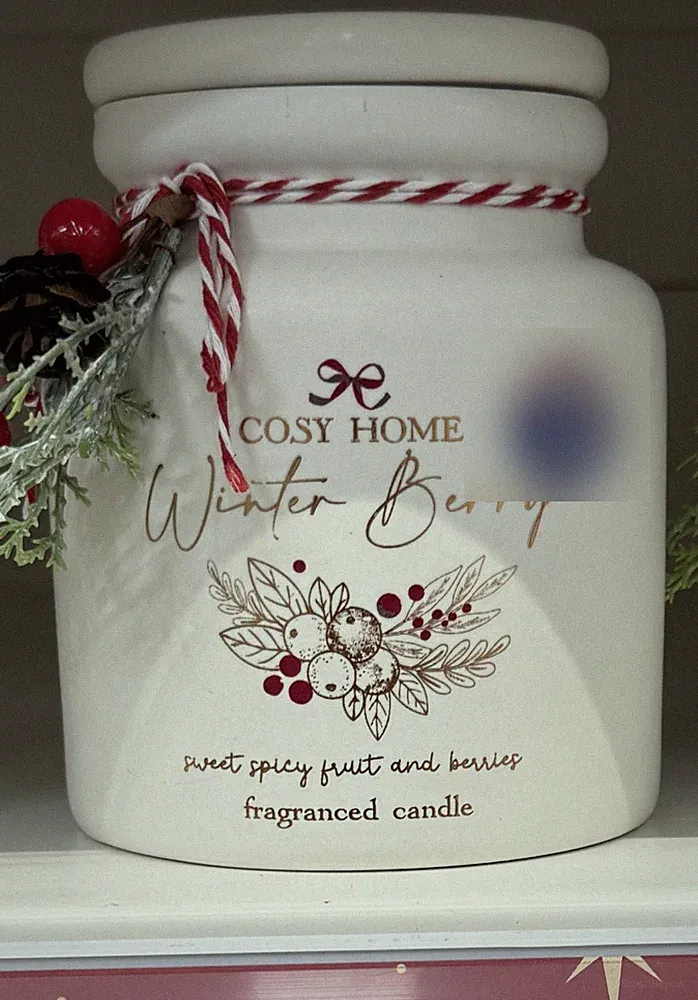 Winter Berry Duftkerze Weihnachten Keramik Glas Raumduft Geschenk